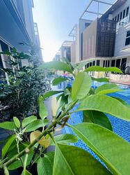 euHabitat (D14), Condominium #566807581